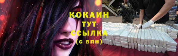 прущие грибы Белокуриха
