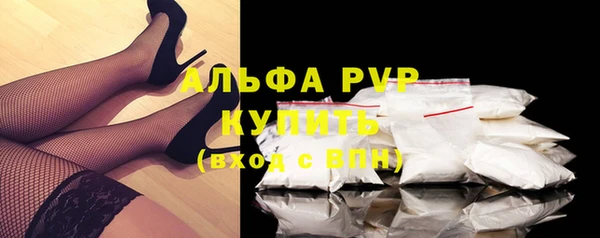 прущие грибы Белокуриха