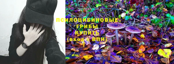 прущие грибы Белокуриха