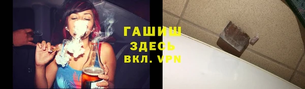прущие грибы Белокуриха