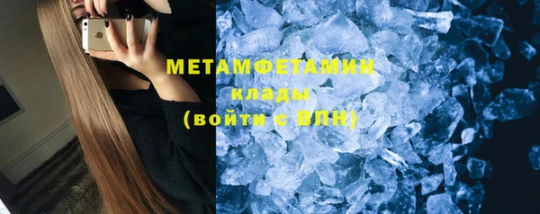 прущие грибы Белокуриха