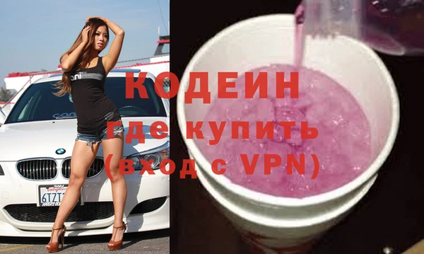 молекула духа Елабуга