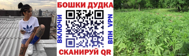 Шишки марихуана Amnesia  Котельниково 
